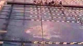 Diving Smack