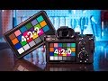 Is 4:2:2 Worth It? - Sony a7 III & Atomos 4:2:0 vs 4:2:2 Comparison