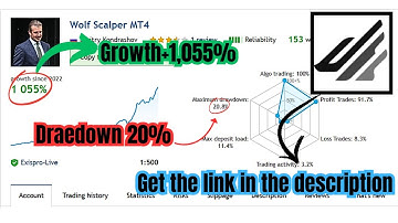 Wolf Scalper EA MT4 (No DLL) – Fast & Smart Scalping Robot