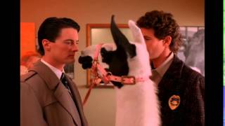 Twin Peaks: Dale Cooper & llama