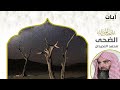 سورة الضحى مكررة 7 مرات محمد اللحيدان Surah Adh Dhuha Repeated 7 Times Mohammed Al Luhaidan 