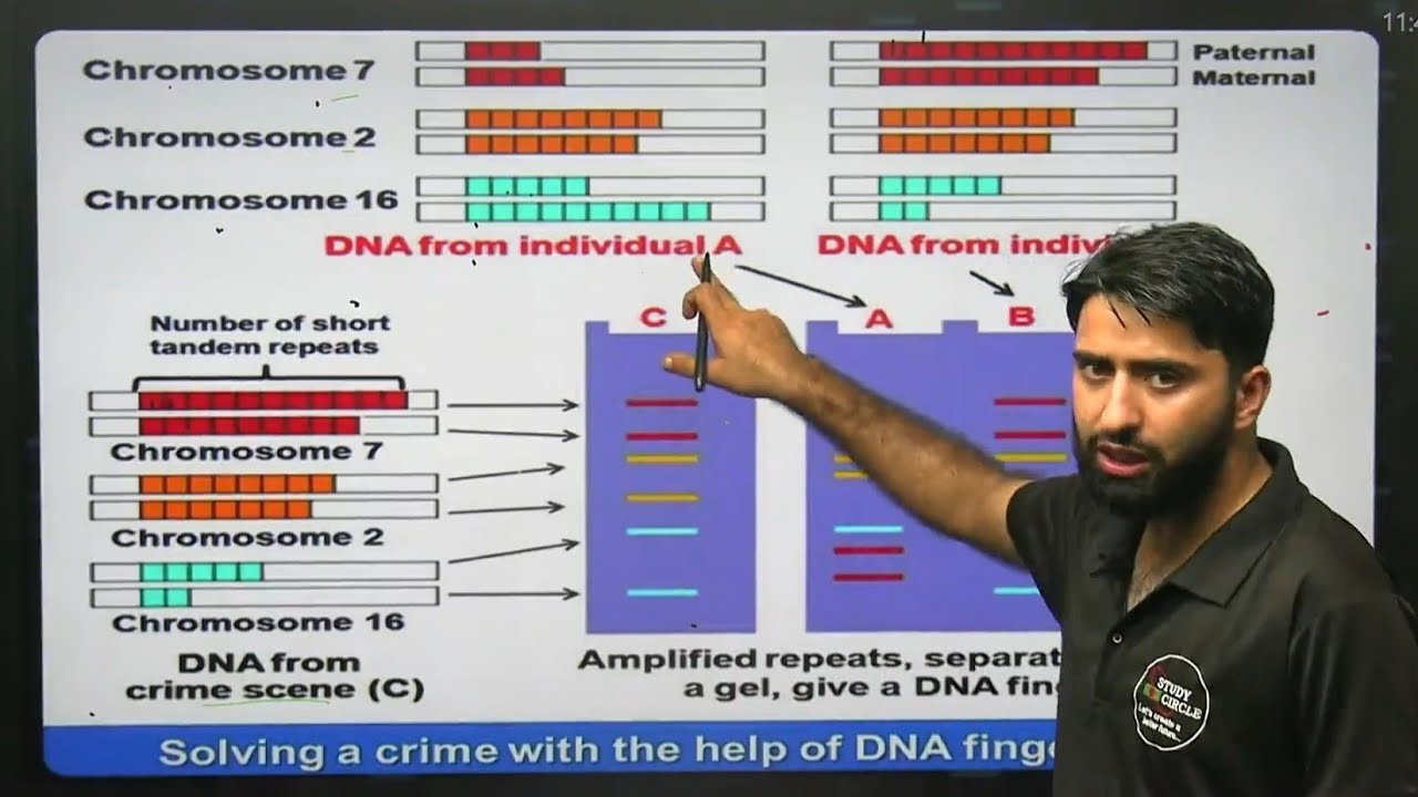 DNA FINGERPRINT PROCESS #DNA fingerprinting #neet2024 #viralvideo - YouTube