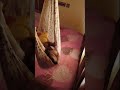 #malayalam #cutebaby #viral