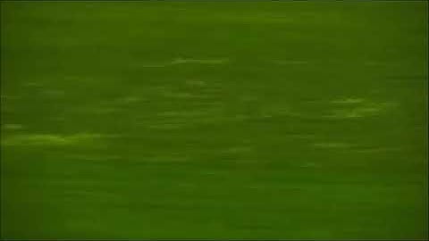 تلاوة تأسر القلب وتسحر السامعين.. صوت شجي يأخذك لعوالم أخرى.. اغمض عينيك واسمع