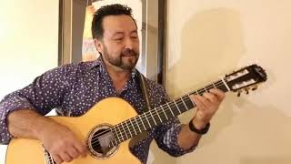 Jarabe Tapatio Cover On A Custom Pimentel Grand Concert Cutaway Clical Guitar