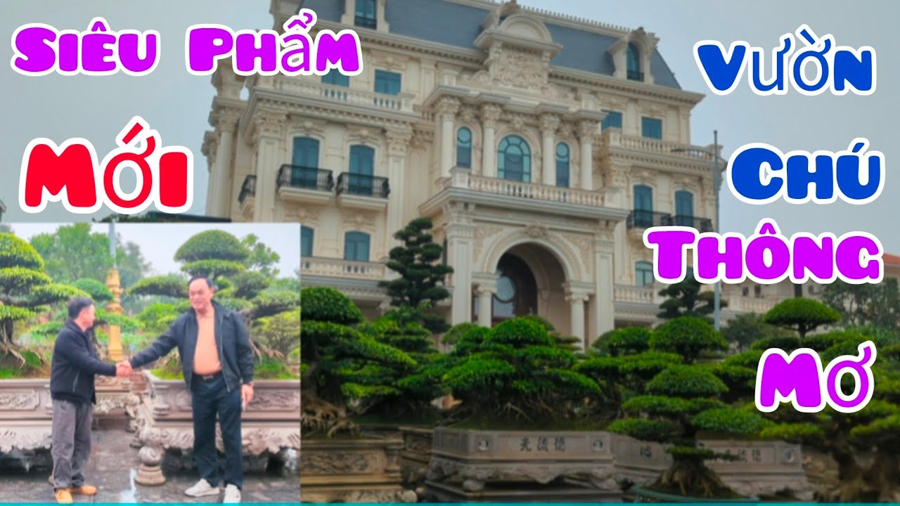 Thêm 1 Siêu Phẩm Sanh Già Cổ vào Bộ Sưu Tập hơn 200 tác phẩm Sanh Cổ trong Tư Gia nhà chú Thông Mơ