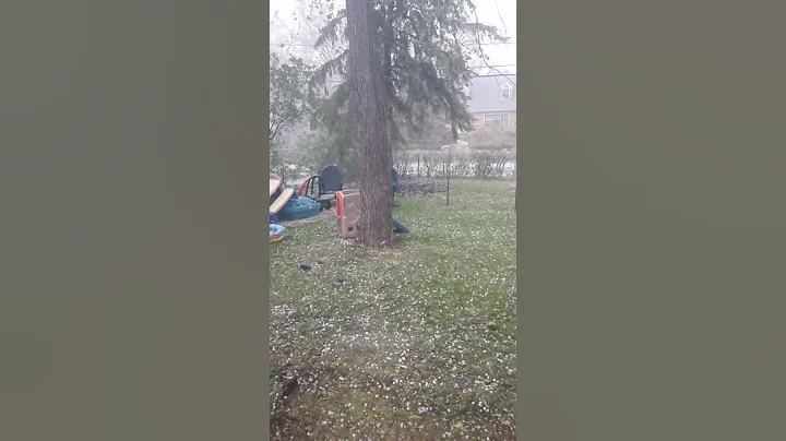 Roseville,  MN hailstorm