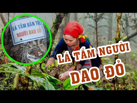 Độc đáo bài thuốc tắm của người Dao Đỏ | 0976 836 586