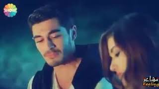 حالة واتس فين الحب اللى عشناه