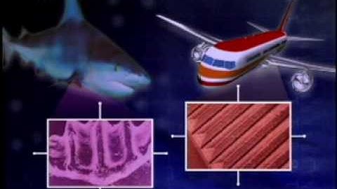 Drag and Biomimetics