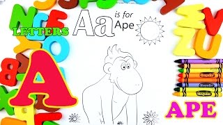Learn Alphabet - Letter A Ape Coloring Pages