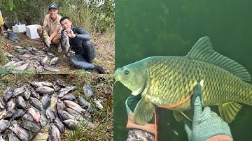 Tập 64. Lặn bắt được rất nhiều cá Rô Phi Khủng tai Cam Lâm Khánh Hòa.