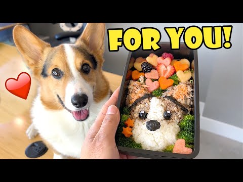 वीडियो: Froggie ब्लॉगर और ओटिस Corgi बार्क्सगिविंग मनाते हैं!