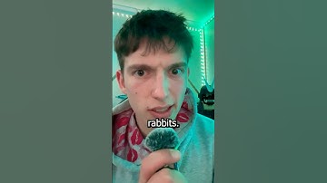 Napoleon Was Once Attacked by Bunnies