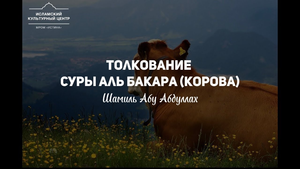 коран 58. 7 аят. имам тахави. маджмуатуль ахзаб. суры корана.