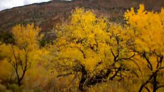 DSCN0363