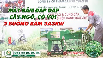 Máy Băm Đập Dập Cây Ngô, Cỏ Voi 2 Buồng Băm 3A3Kw Năng Suất 1-1,5 Tấn/h Mẫu Mới