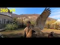 【360°VR 5K】遊牧民の鷹匠（カザフスタン） ／　Nomadic falconer, Kazakhstan