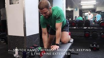Dumbbell One Arm Row - Patrick MoJo PT - Exercise Library