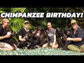 Sugriva the chimps 10th birt.ay party