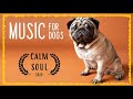 PUG Music to Sleep ~ Relaxing Dog Music ~ Separation Anxiety Music For Dogs (Tested)