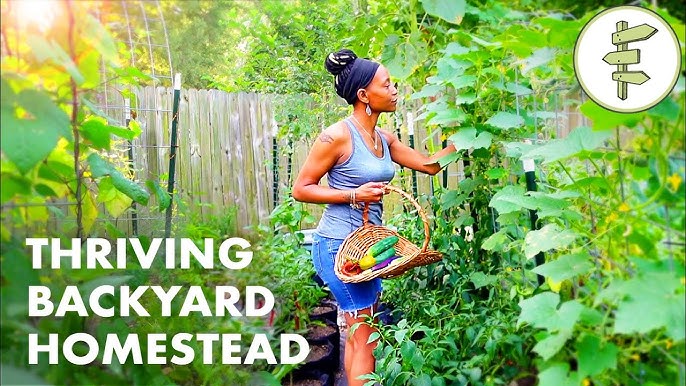 Sustainable Living – citysupplyfayetteville