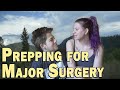 Getting a Major Surgery! Doctor Explains