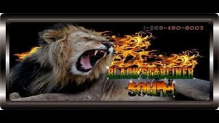 Download Lagu BLACK STARLINER SOUND Pop Up Wednesday 26th NOV 2025 (8.00pm - 9.30pm) T\u0026T MP3