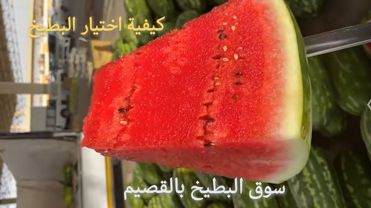 تقرير - سوق البطيخ في القصيم كيفية اختيار البطيخ - سناب ابوعلي الجطيلي