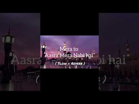 Mera to Aasra Mera Nabi Hai  ♥️💮🤲 | Islamic status video #shots #instafamily #instafamily #status