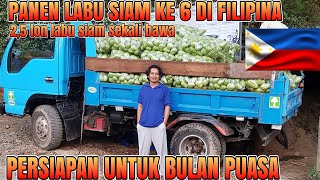 Download Lagu 🇵🇭 PANEN LABU SIAM KE 6 DI FILIPINA, PERSIAPAN UNTUK BULAN PUASA MP3