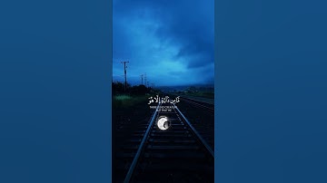 (إني توكلت على الله ربي وربكم) تلاوة هادئة ومؤثرة بصوت جميل 🤍🎧