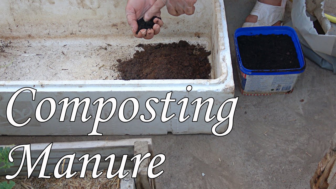 أسباب حرق جذور النباتات و تخمير السماد العضوي