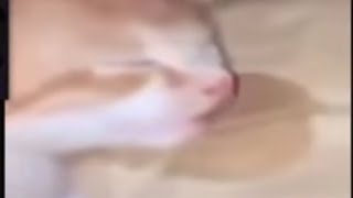 Ty Got Buffed 1 Click 10 Clicks,