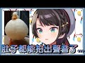 【大空スバル/大空昴】肚皮鼓？！胖到懷疑鴨生的486：你們不懂少女心啦！【Hololive精華/中日字幕】