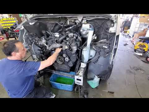 Sprinter van 2011 problems : coolant color, belt tensioner and oil leak