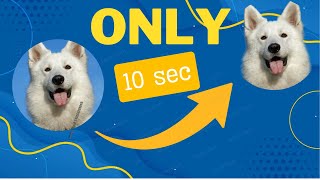 Remove Background from Any Photo in 10 Seconds (FREE & Easy!)