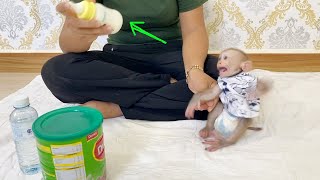 Baby DAM Hungry Can't Control His Mood To Calm For Mom Feeding