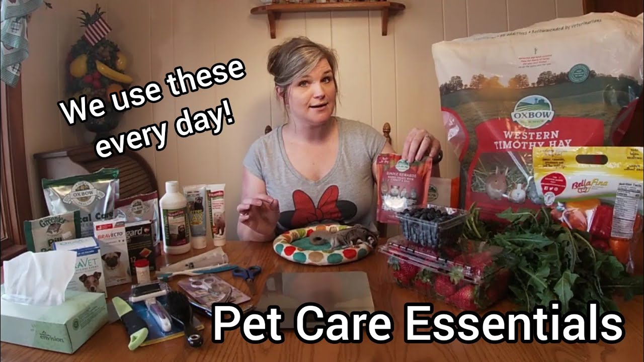 Pet Care Essentials YouTube