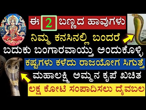 ಕನಸಿನಲ್ಲಿ ಹಾವು ಹೀಗೆ ಕಾಣಿಸಿಕೊಂಡರೆ ಬದುಕು ಬದಲಾಗುತ್ತೆ ಈ ಬಣ್ಣದ ಉರಗದಿಂದ ದೈವಬಲ ಮಹಾಲಕ್ಷ್ಮಿ ಕೃಪೆ ಪ್ರಾಪ್ತಿ