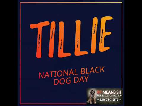 national black dog day 2018 national black dog day 2018