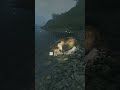 HIGH QUALITY BACON 🐷🐷🐷 | The Hunter: Call of The WILD