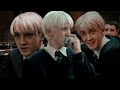 random y/n and draco malfoy tiktoks | draco tok