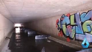 Noroton River Fish Ladder Video