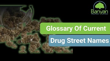 Glossary of Current Drug Street Names of FL