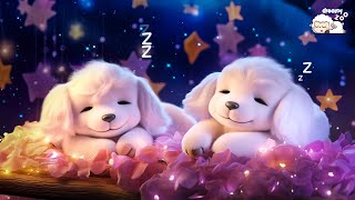 Relaxing Music 100% Anti-Stress - Ideal to Stop Thinking Too Much and Reach Calm 🎶😌❤️ by Dreamy Zoo 2,154 views 3 weeks ago 4 hours, 1 minute