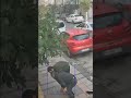 Geri geri giden şoför önce arabadan düştü, sonra geri gelen arabasının altında kaldı.