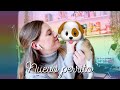 4 PERRITOS NUEVOS! 🐶 VLOG. #2 💕