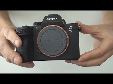 Essai du Sony A7iii / A7 III : ergonomie, réactivité, comparaison avec l'A7Rii, montée en ISO