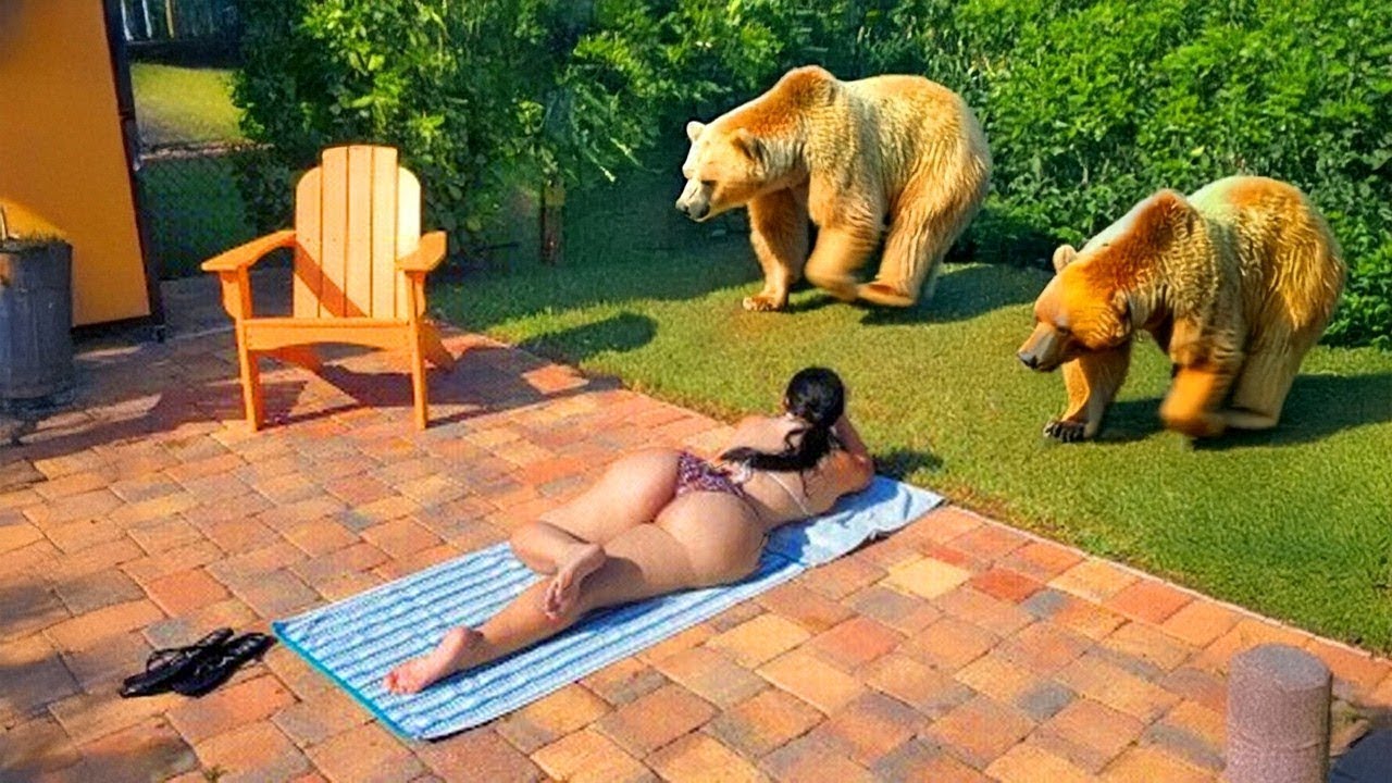 🔥 Вы Должны Это Увидеть! Эти Случаи с Животными Невозможно Забыть